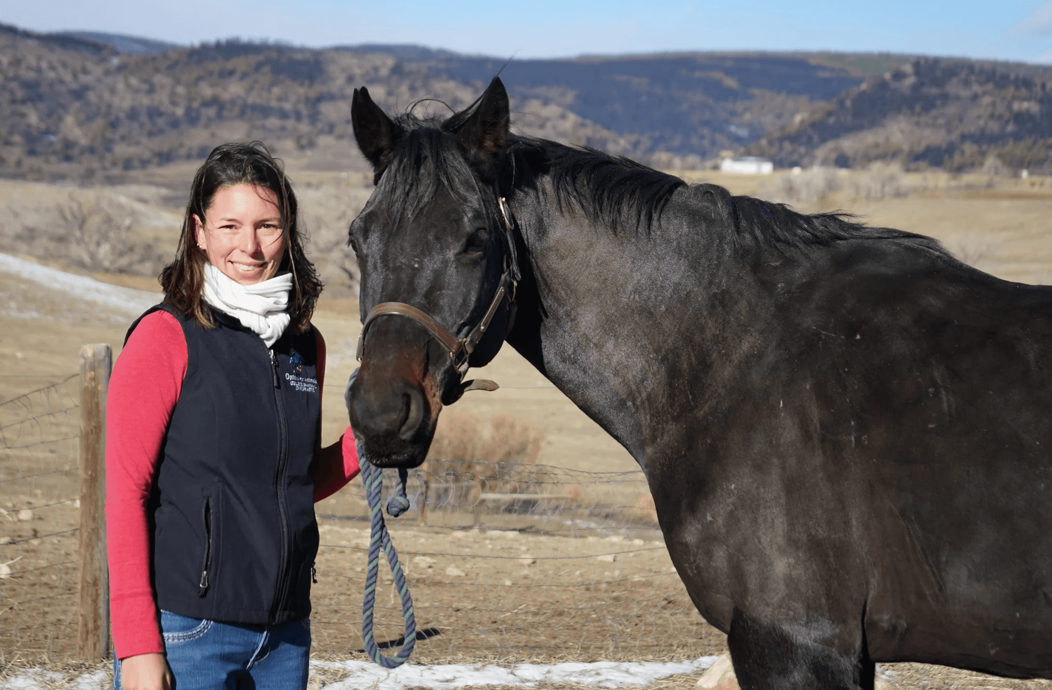 Woman standing next to a horse in an open field-freedlight-performance