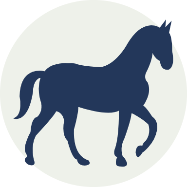horse with-slow-walking-pose-svgrepo-com_3-freedlight-performance